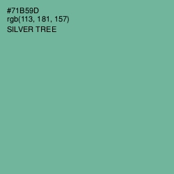 #71B59D - Silver Tree Color Image